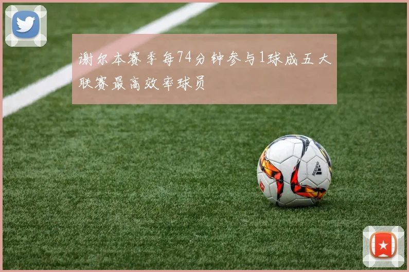 谢尔本赛季每74分钟参与1球成五大联赛最高效率球员